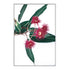 A floral wall art print featuring green eucalyptus leaves with beautiful red wild flowers, available framed or unframed.