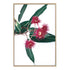 A floral artwork featuring green eucalyptus leaves and beautiful red wild flowers, available framed or unframed.