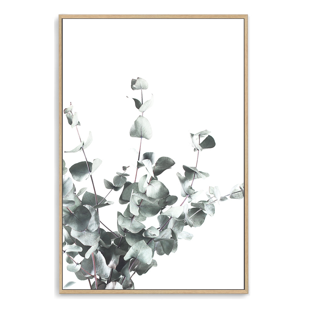 This artwork print of eucalyptus leaves (A) with a light background is available in canvas and print, unframed and framed.