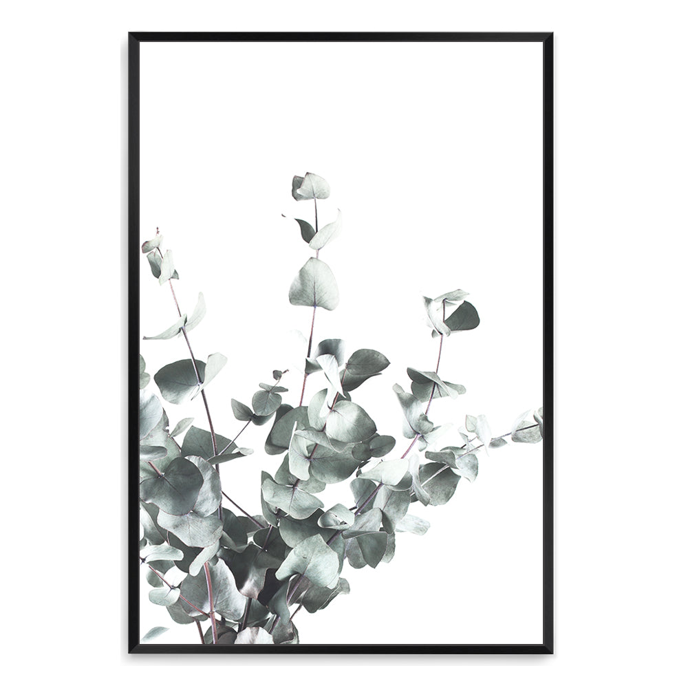 Eucalyptus leaves (A) with a light background is featured in this wall art, available in canvas and print, unframed and framed.