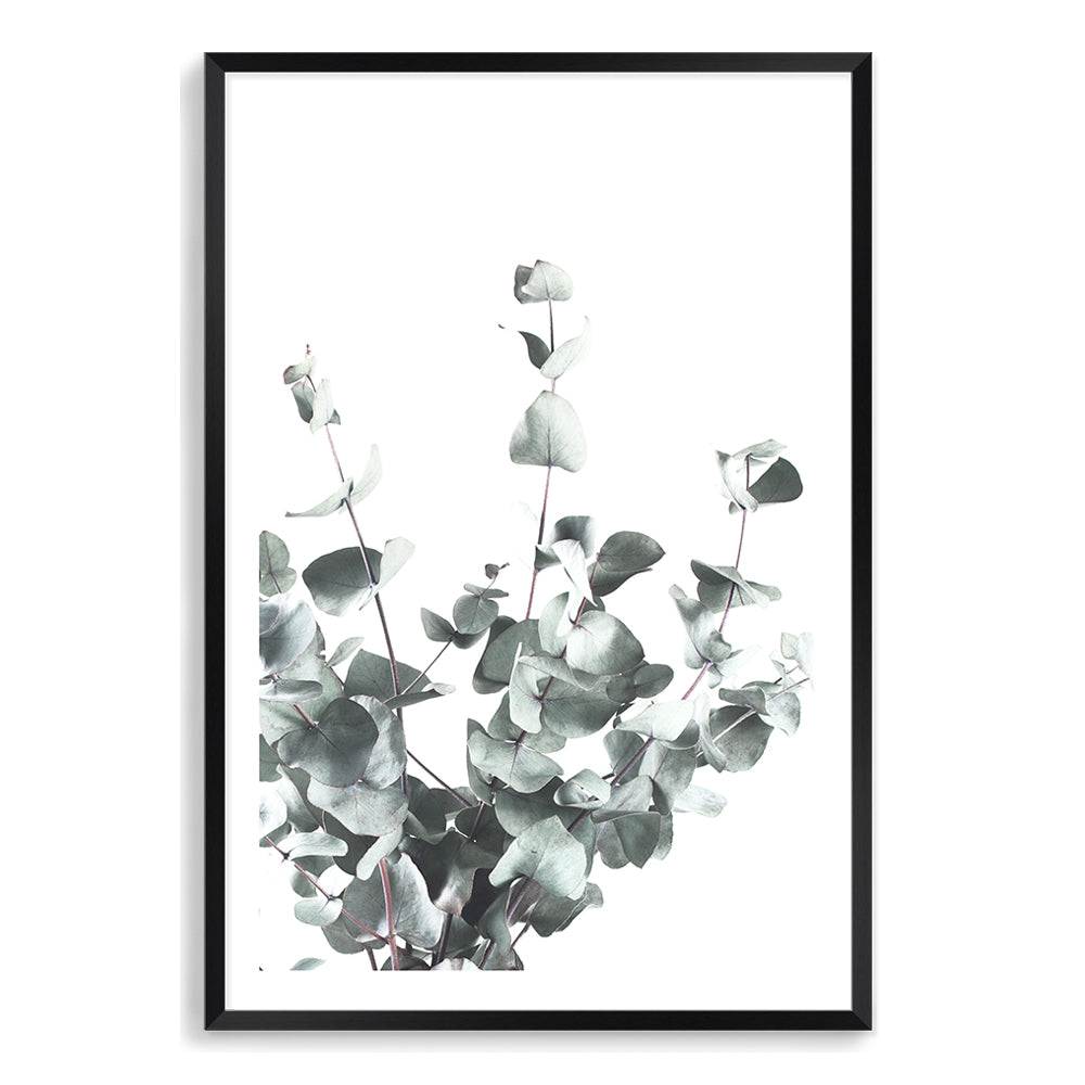 This wall art print of eucalyptus leaves (A) with a neutral background is very popular, available in canvas and print, framed and unframed.