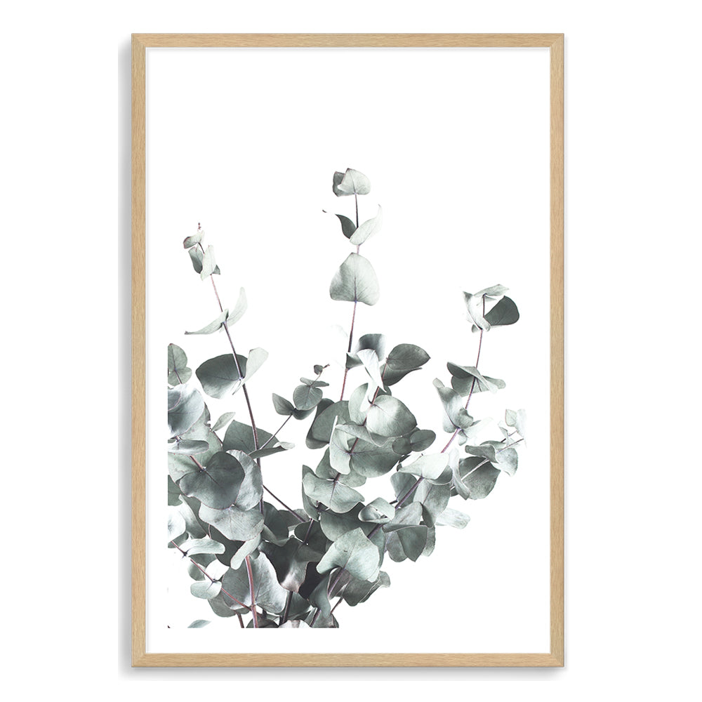 This artwork print of eucalyptus leaves (A) with a neutral background is very popular, available in canvas and print, unframed and framed.
