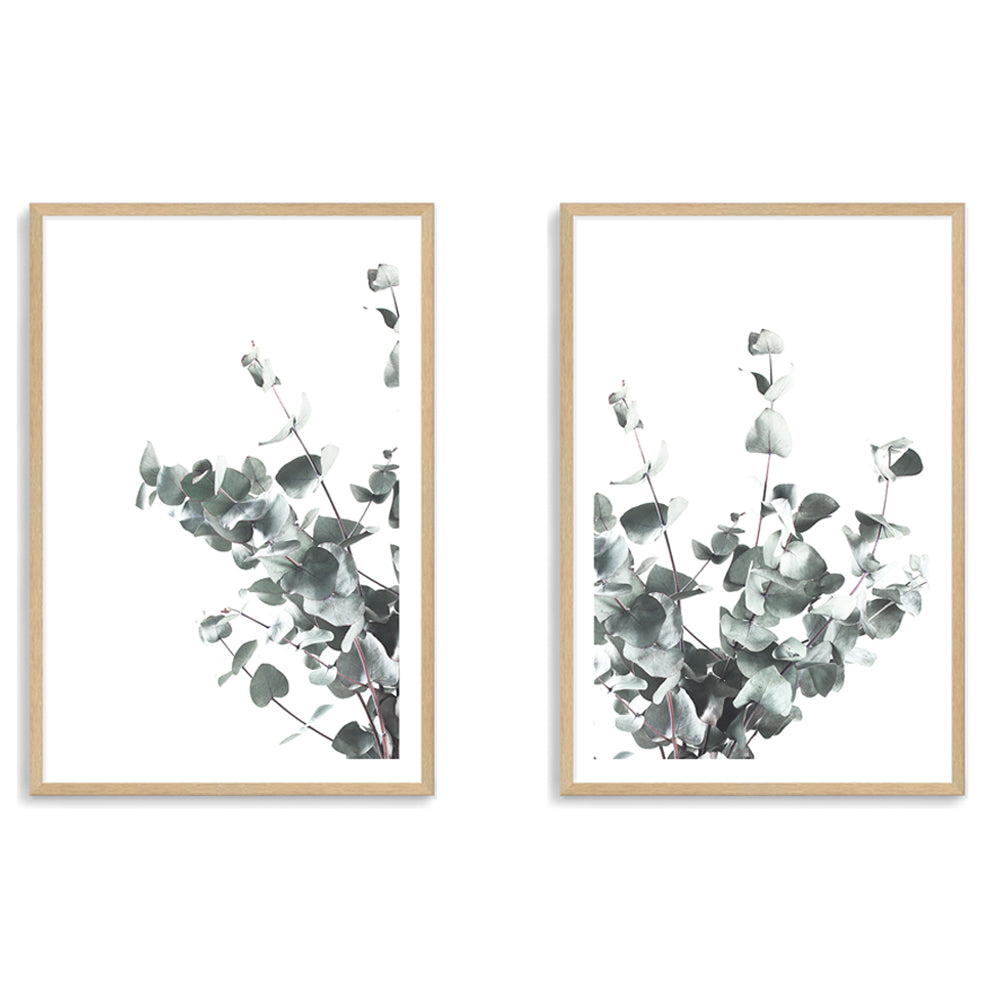 A set of two wall art prints featuring eucalyptus leaves with a neutral background, available unframed and in various sizes. 