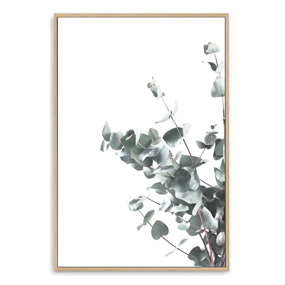 Eucalyptus leaves (B) with a neutral light background is featured in this artwork, available in canvas and print, unframed and framed.