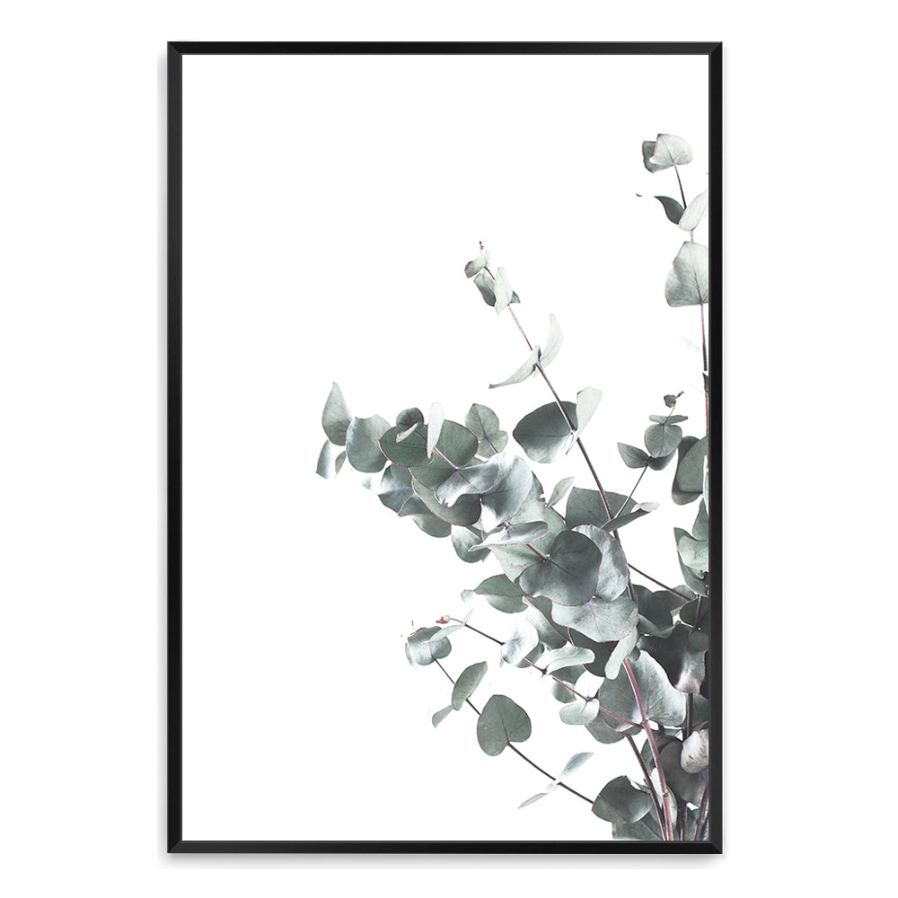 A framed or unframed canvas wall art print featuring eucalyptus leaves (B)with a light background. 