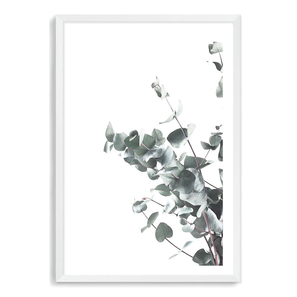 A framed or unframed wall art print of eucalyptus leaves (B)with a neutral background available as a canvas or photo print.