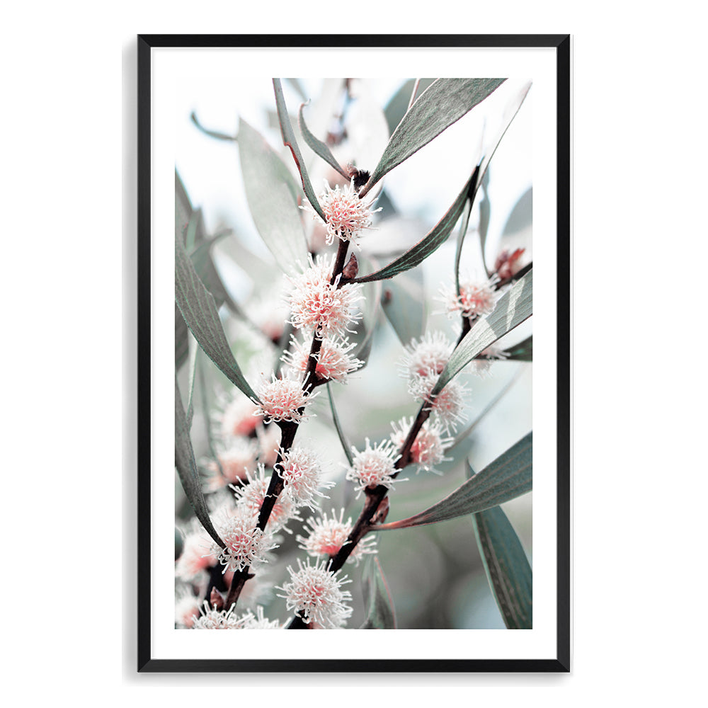 An Australian wall art print of eucalytpus pink wild flowers and green leaves with branches in the background. 