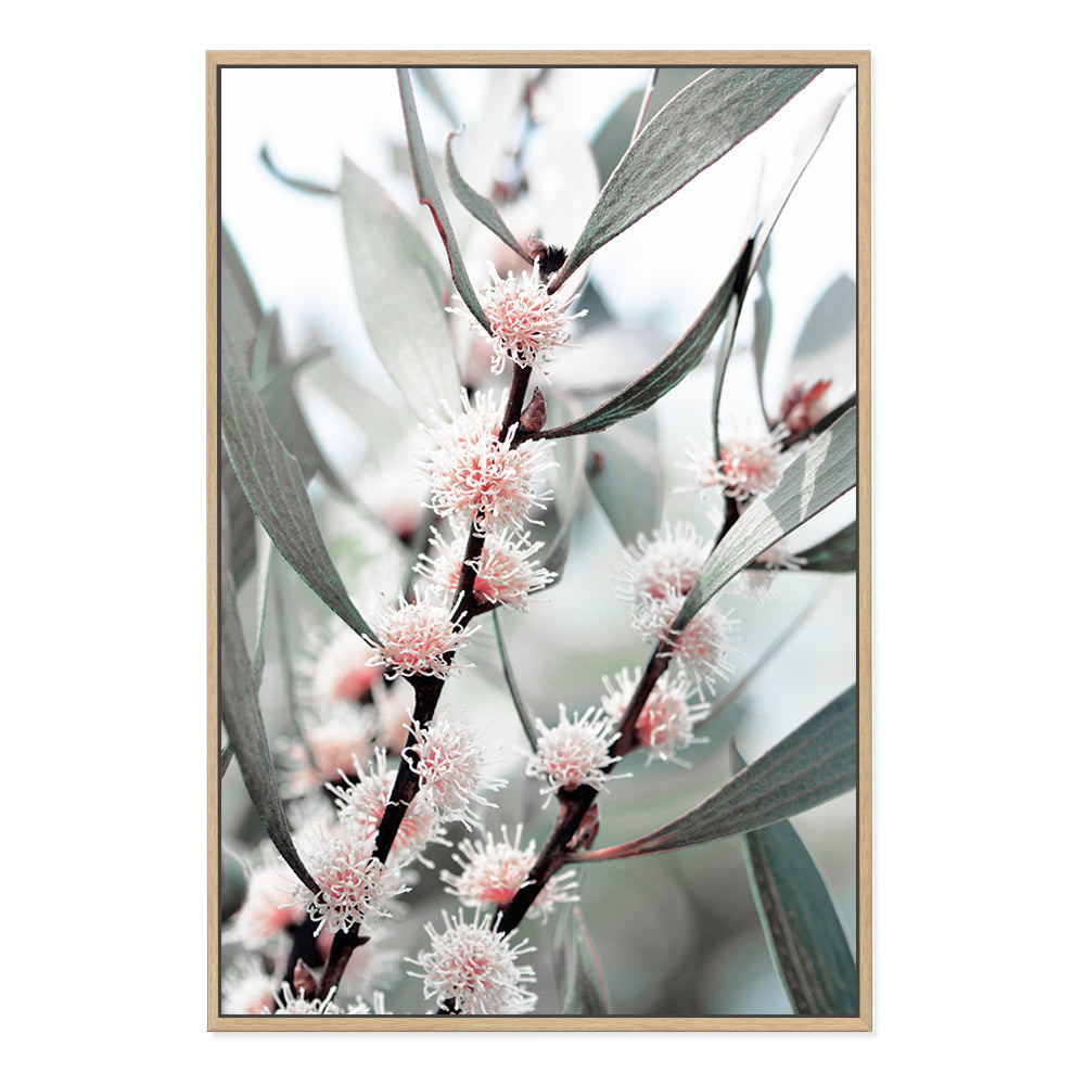 An stretched canvas artwork featuring eucalytpus pink wild flowers and green leaves with branches in the background, available framed or unframed. 