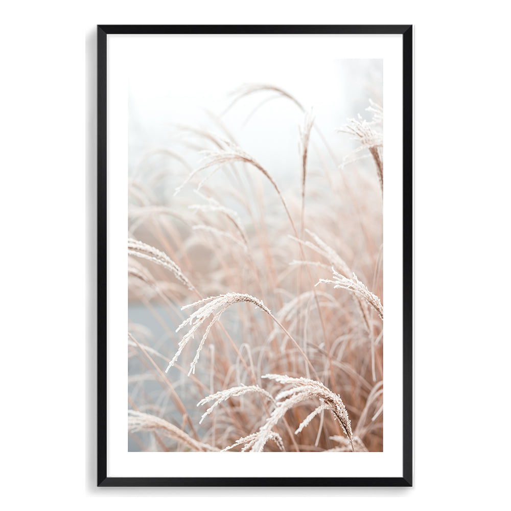 A coastal wall art print of tall golden grass reeds, a pampas grass variety, this artwork is available in an unframed poster print, stretched canvas or with a timber, white or black frame. 