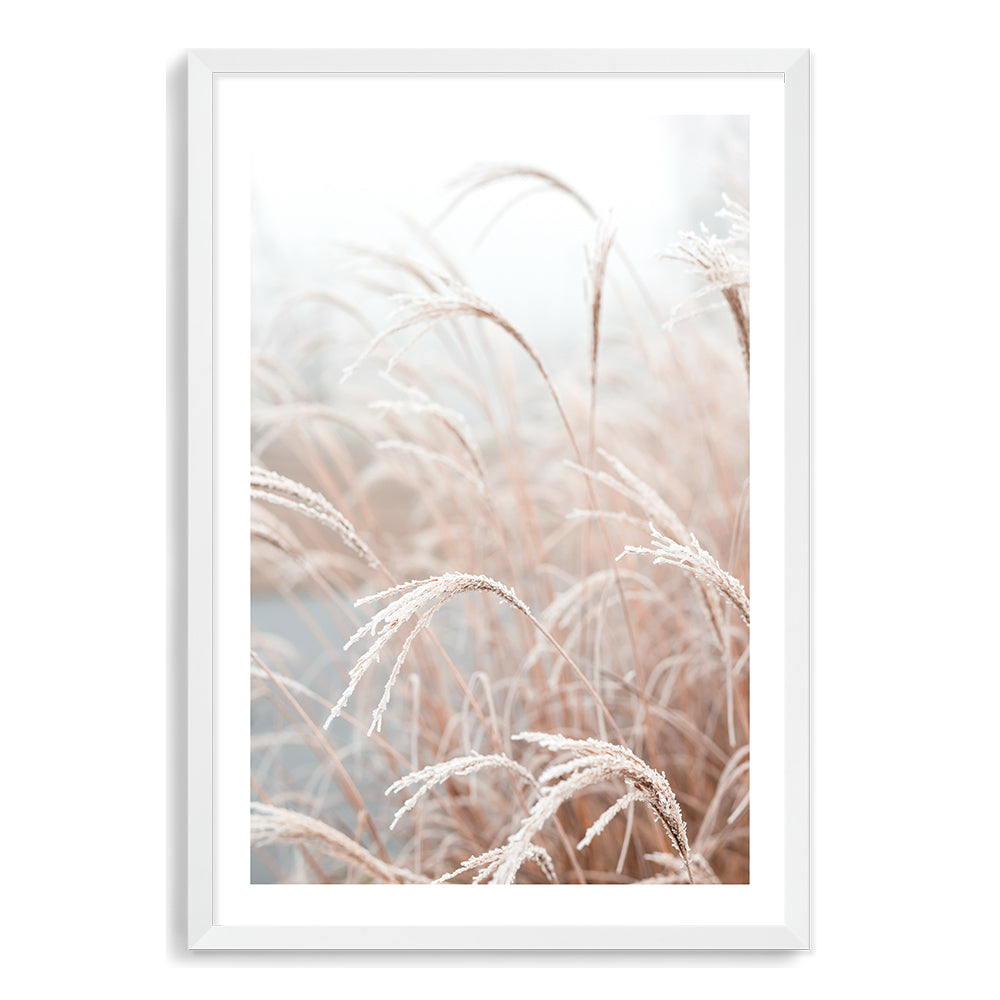 A coastal art print of tall golden grass reeds, a pampas grass variety, available in an unframed and framed poster print.