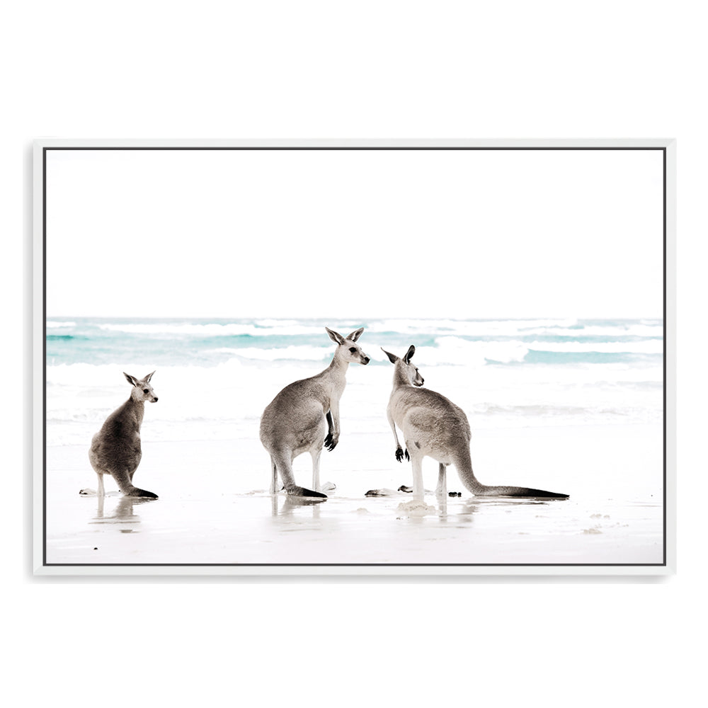 Featuring three kangaroos enjoying some time on the beach in artwork , available in natural timber, black or white frames.