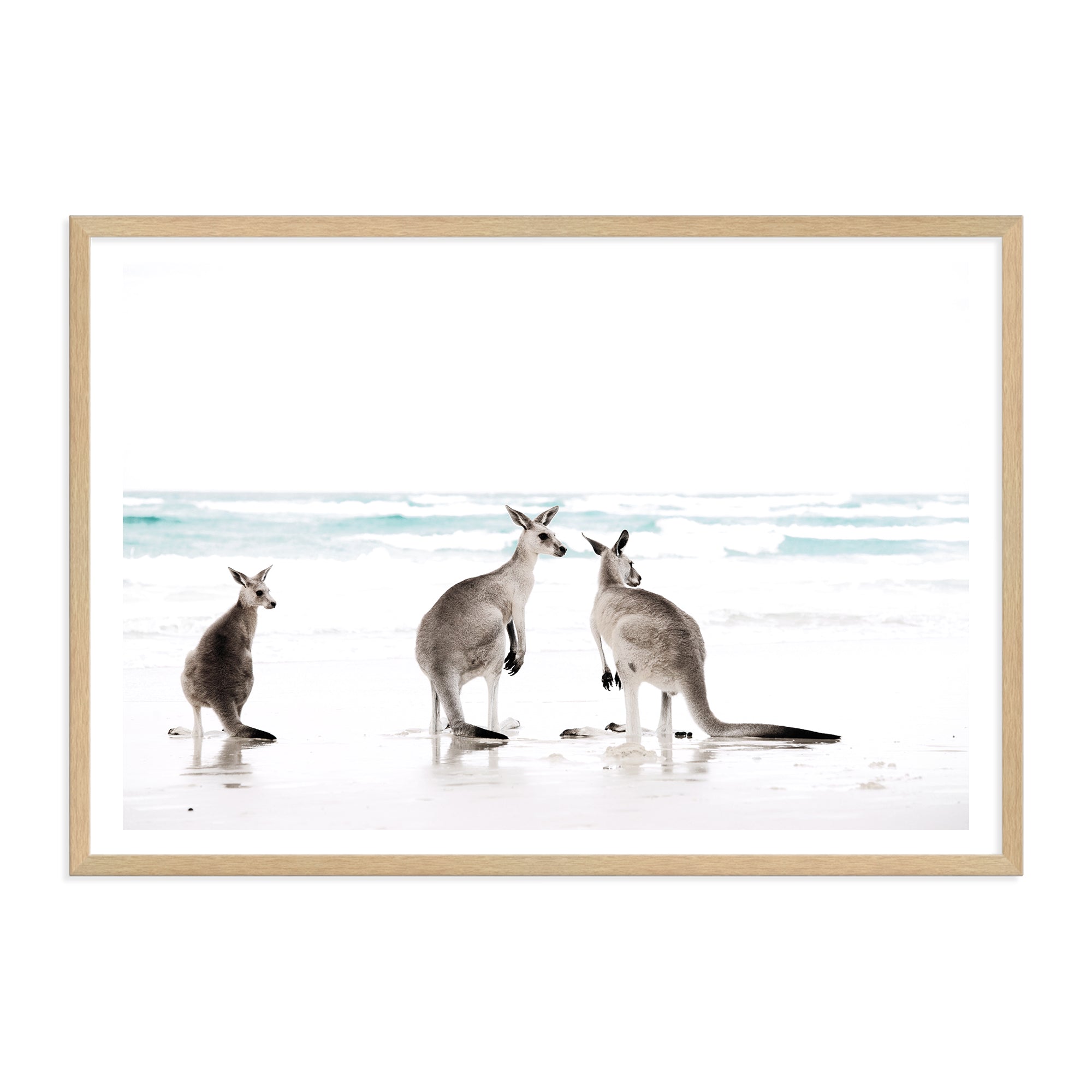 A coastal artwork of three kangaroos enjoying some time on the beach, available in natural timber, black or white frames.