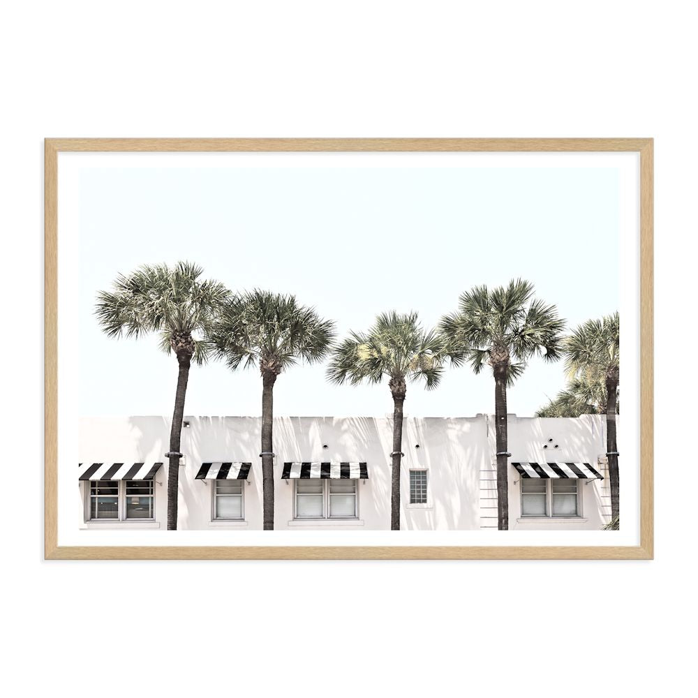 Miami Palm Trees Wall Art Photograph Print or Canvas Timber Framed or Unframed Beautiful Home Decor