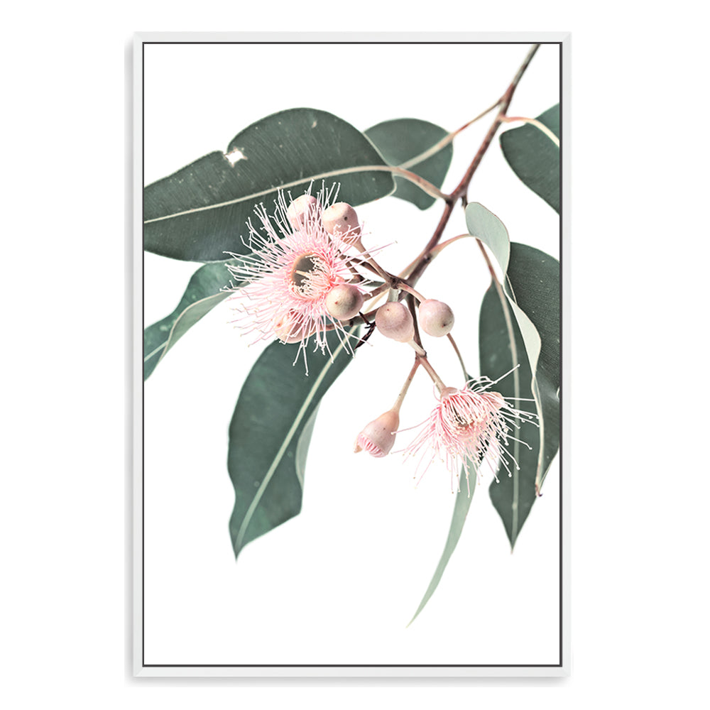 A stretched canvas  wall art print featuring pink eucalyptus wild flowers and green leaves on a neutral background, available framed or unframed  of a native gum eucalyptus flower a wall art.