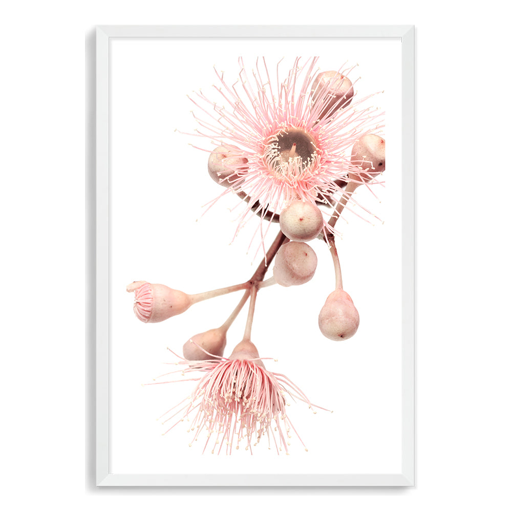 Another popular wall art print of green leaves and pink eucalyptus wild flowers with a neutral background.  