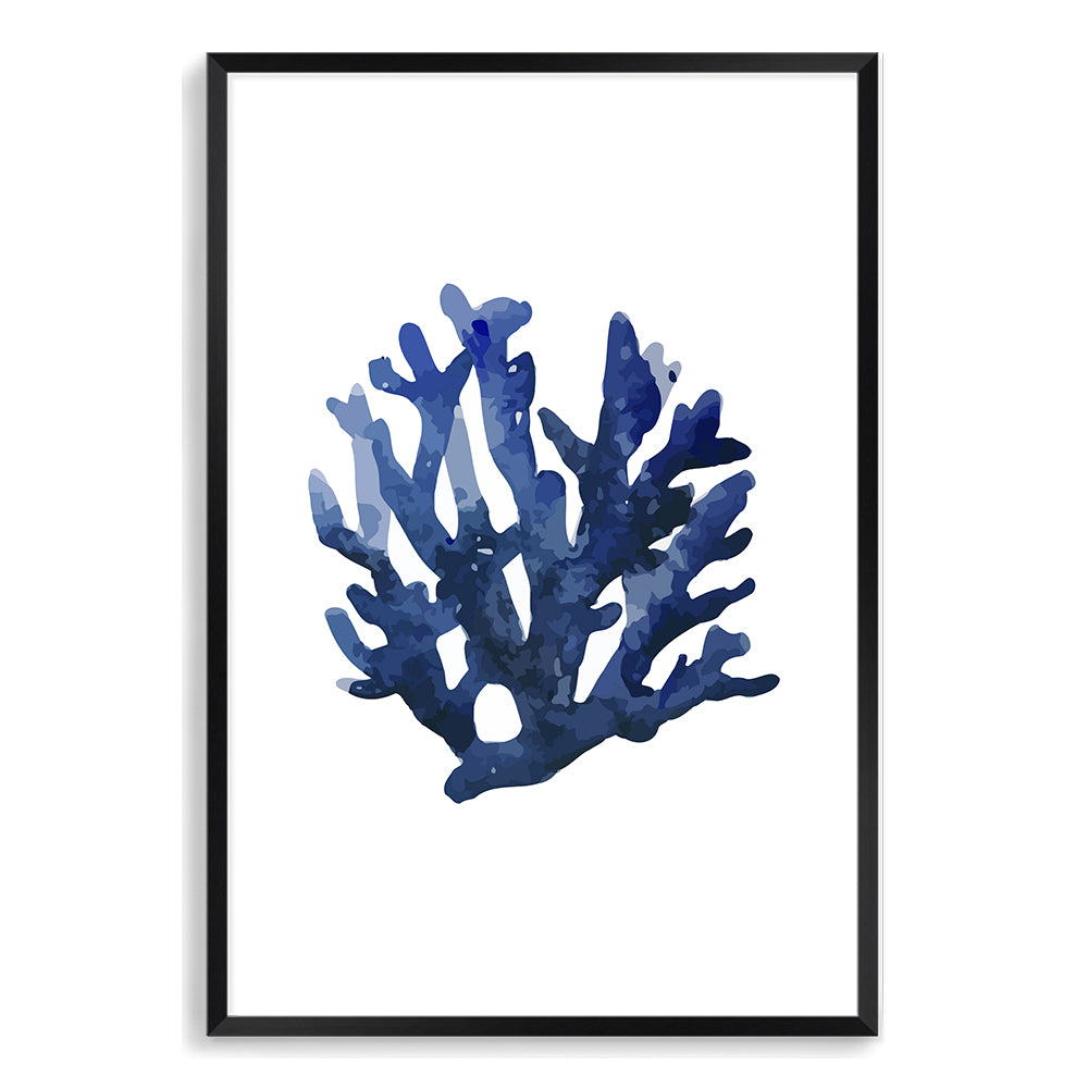 Navy Blue Coral B Wall Art Photograph Print or Canvas Framed in black or Unframed Beautiful Home Decor