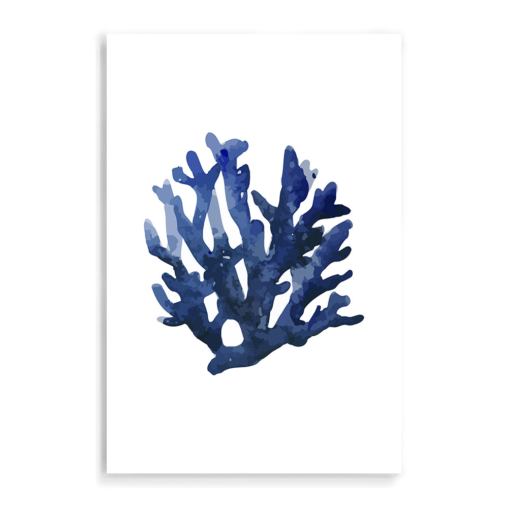 Navy Blue Coral B Wall Art Photograph Print or Canvas Framed or Unframed Beautiful Home Decor