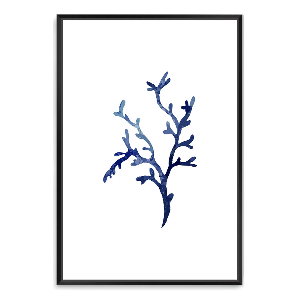 Navy Blue Coral D Wall Art Photograph Print or Canvas Black Framed or Unframed Beautiful Home Decor