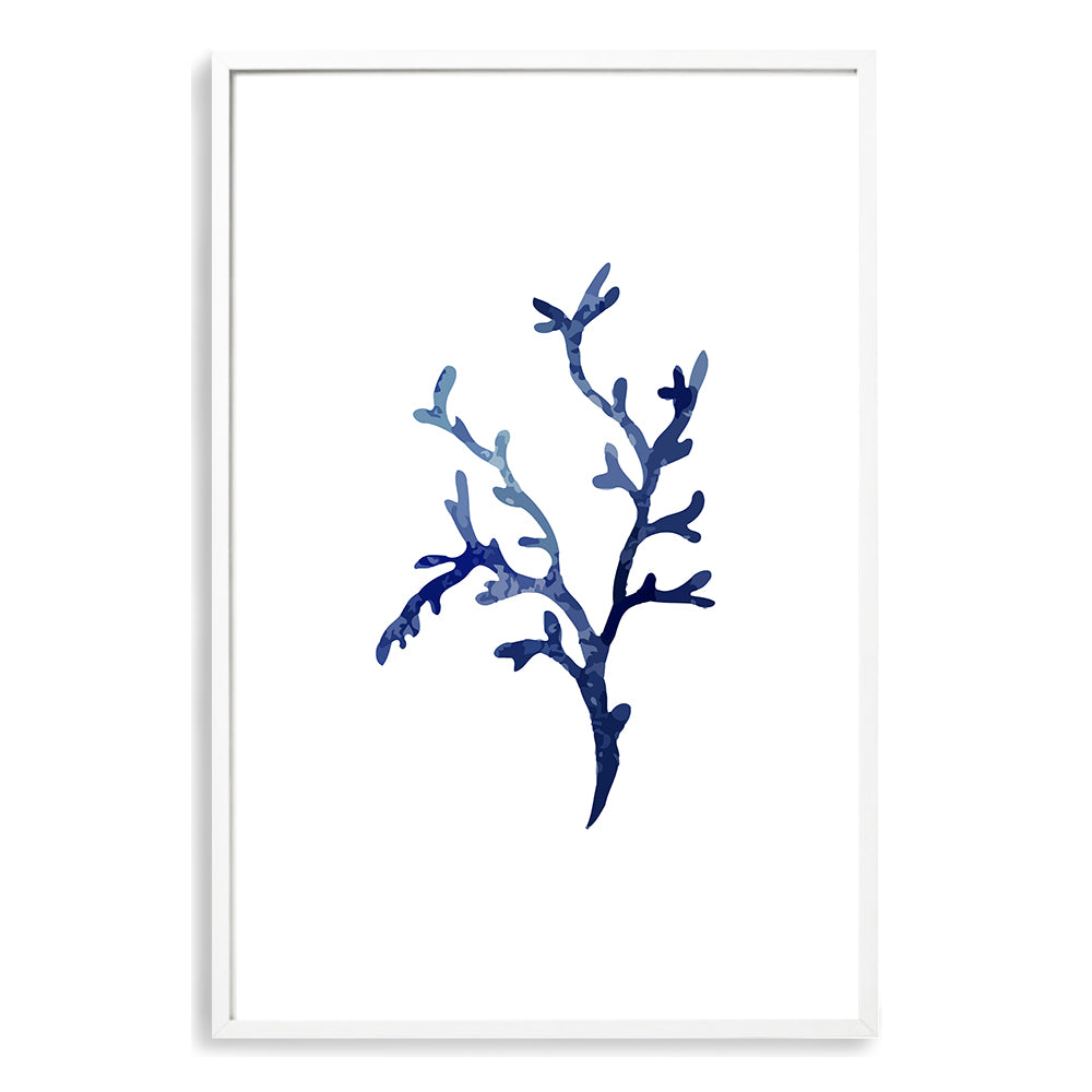 Navy Blue Coral D Wall Art Photograph Print or Canvas white Framed or Unframed Beautiful Home Decor