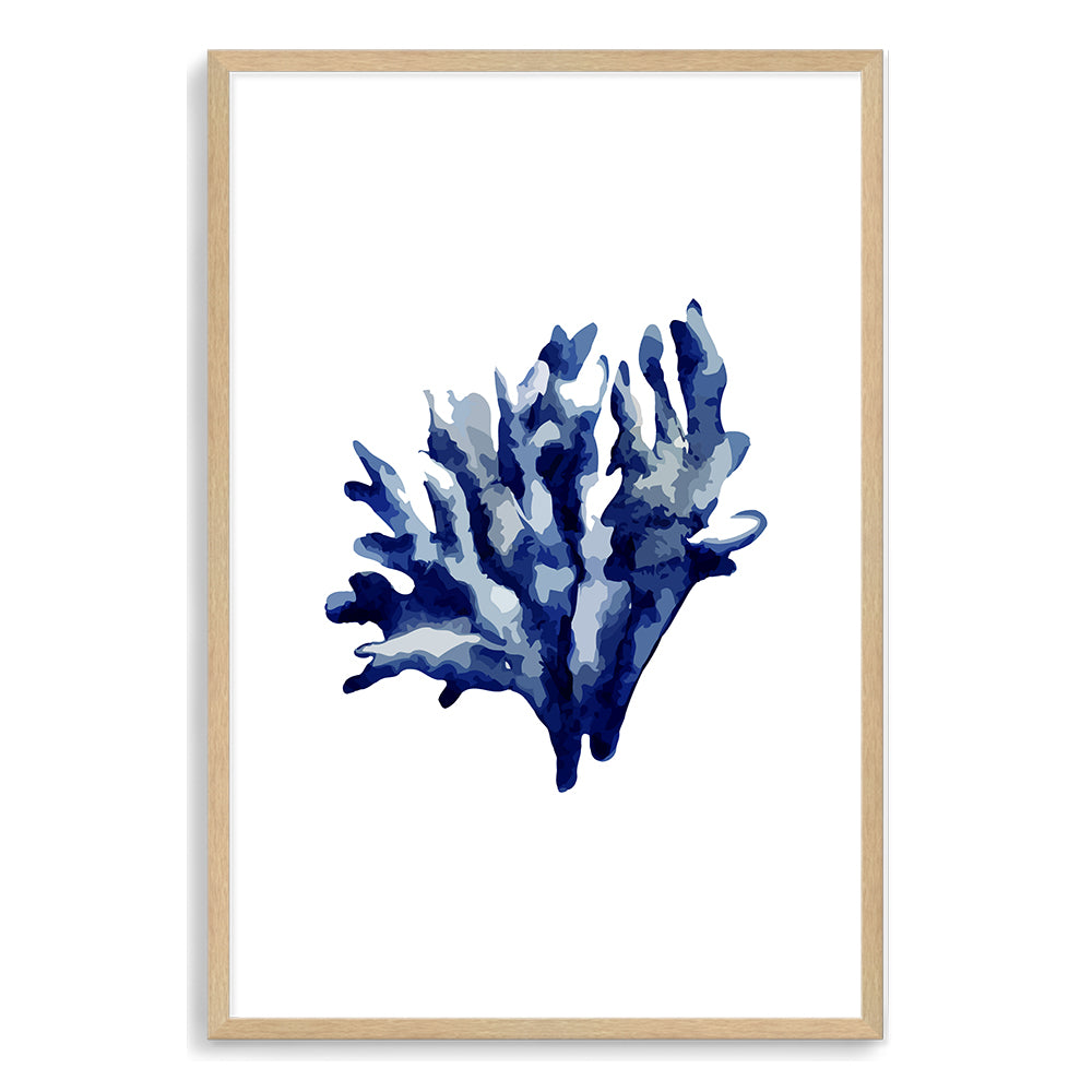 Navy Blue Coral E Wall Art Photograph Print or Canvas Timber Framed or Unframed Beautiful Home Decor