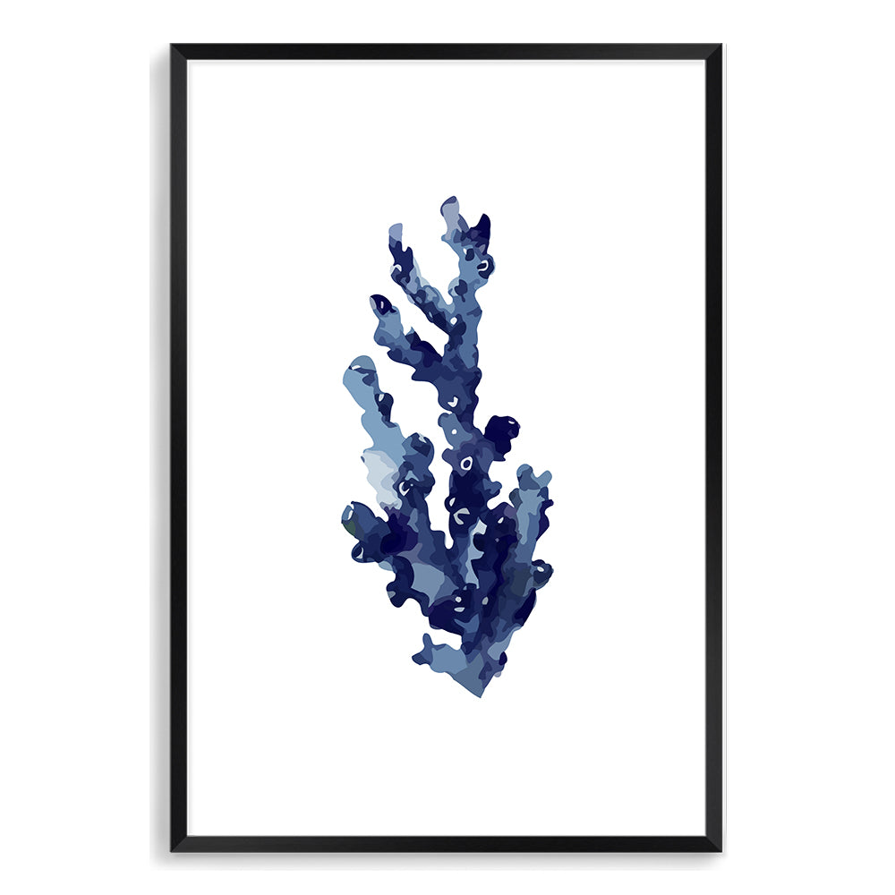 Navy Blue Coral Wall Art Photograph Print or Canvas Black Framed or Unframed Beautiful Home Decor