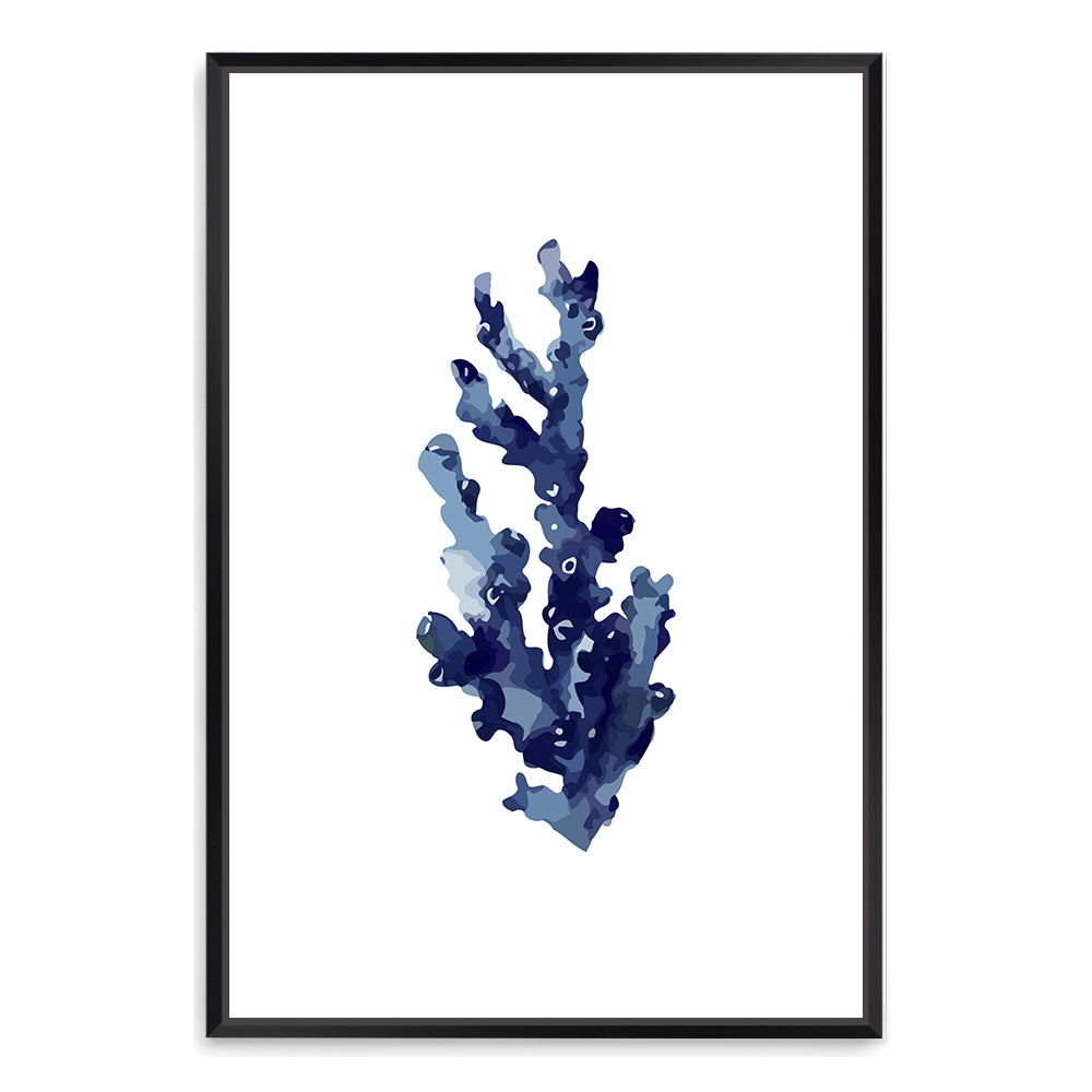 Navy Blue Coral Wall Art Photograph Print or Canvas Framed in black or Unframed Beautiful Home Decor