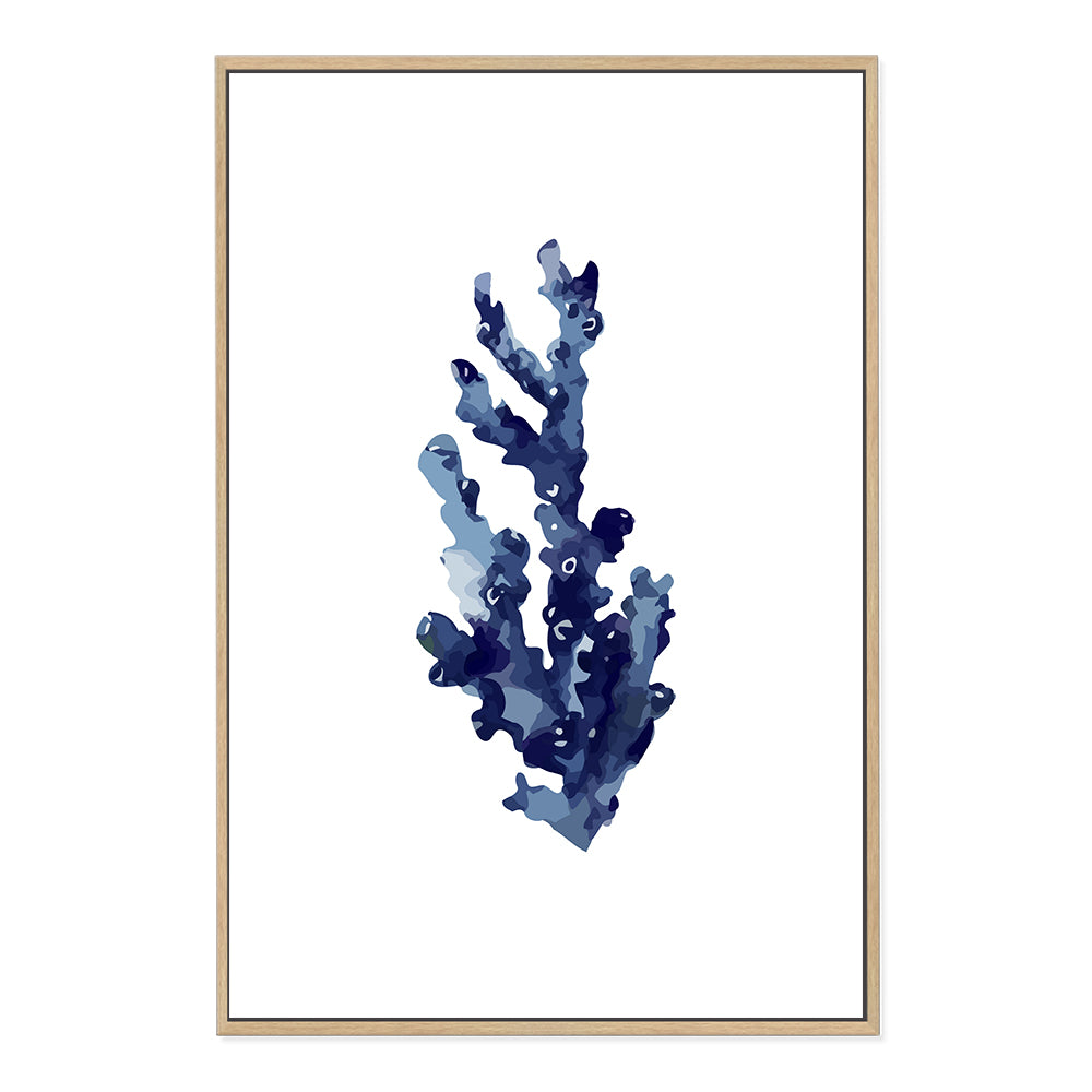 Navy Blue Coral Wall Art Photograph Print or Canvas Framed in timber or Unframed Beautiful Home Decor