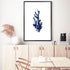 Navy Blue Coral Wall Art Photograph Print or Canvas Framed or Unframed Dining Room Beautiful Home Decor