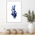 Navy Blue Coral Wall Art Photograph Print or Canvas Framed or Unframed for hallway wall Beautiful Home Decor