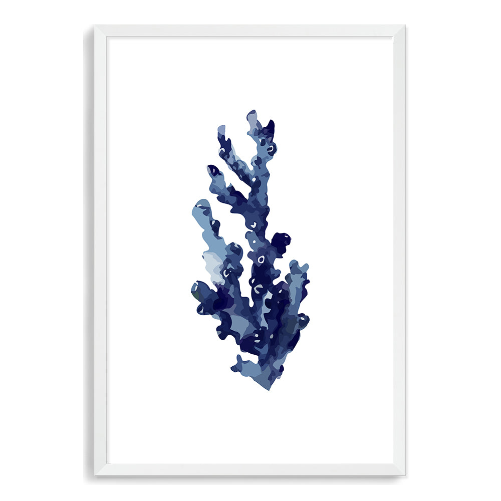 Navy Blue Coral Wall Art Photograph Print or Canvas white Framed or Unframed Beautiful Home Decor