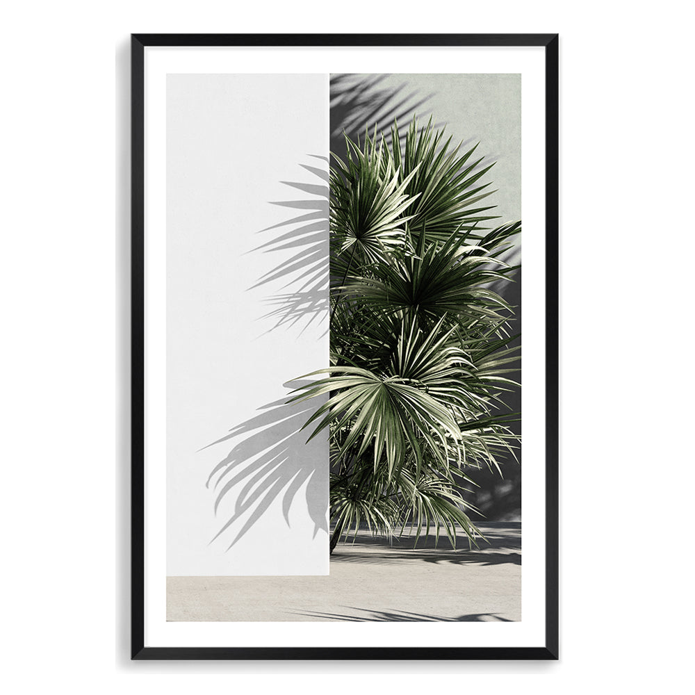 The beautiful green of the palm fronds against the white wall is featured in this architectural wall art print.