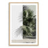 The beautiful green palm fronds against a white wall is featured in this  stunning architectural wall art print.