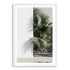 A framed or unframed wall art print of the beautiful green palm fronds against a white wall, available in canvas or print. 