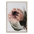 Featuring a stretched canvas wall art print of a peach protea flower with green leaves available in a timber, black or white frame.