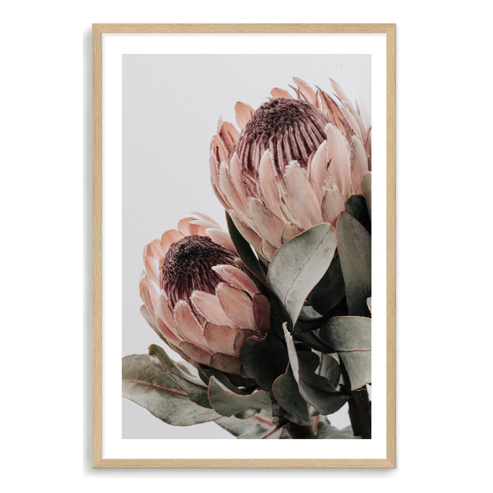 Two beautiful peach protea flowers with green leaves in muted tones is featured in this floral art print. 
