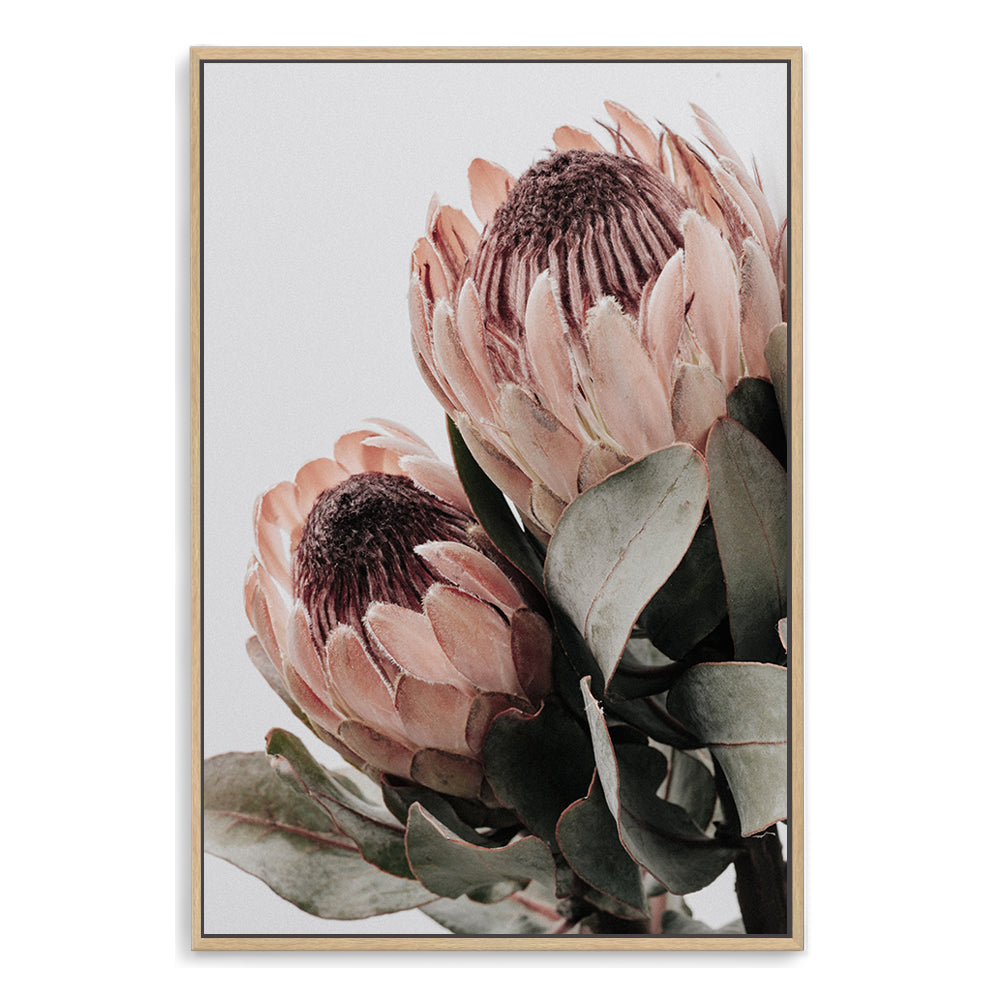 A stretched canvas wall art print of two beautiful peach protea flowers with green leaves in muted tones available framed or unframed.