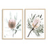 An artwork set featuring the beautiful peach cream and greens of the Australian native Banksia flower in floral art prints. 