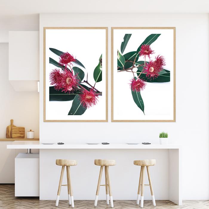 Beautiful set of 2 Eucalyptus Flowers Wall Art Prints