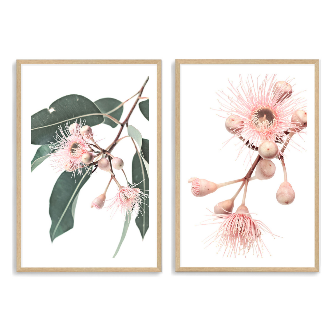 A set of two wall art prints of pink eucalyptus wild flowers with green leaves with a  neutral background., add your own frame in timber, black or white. 