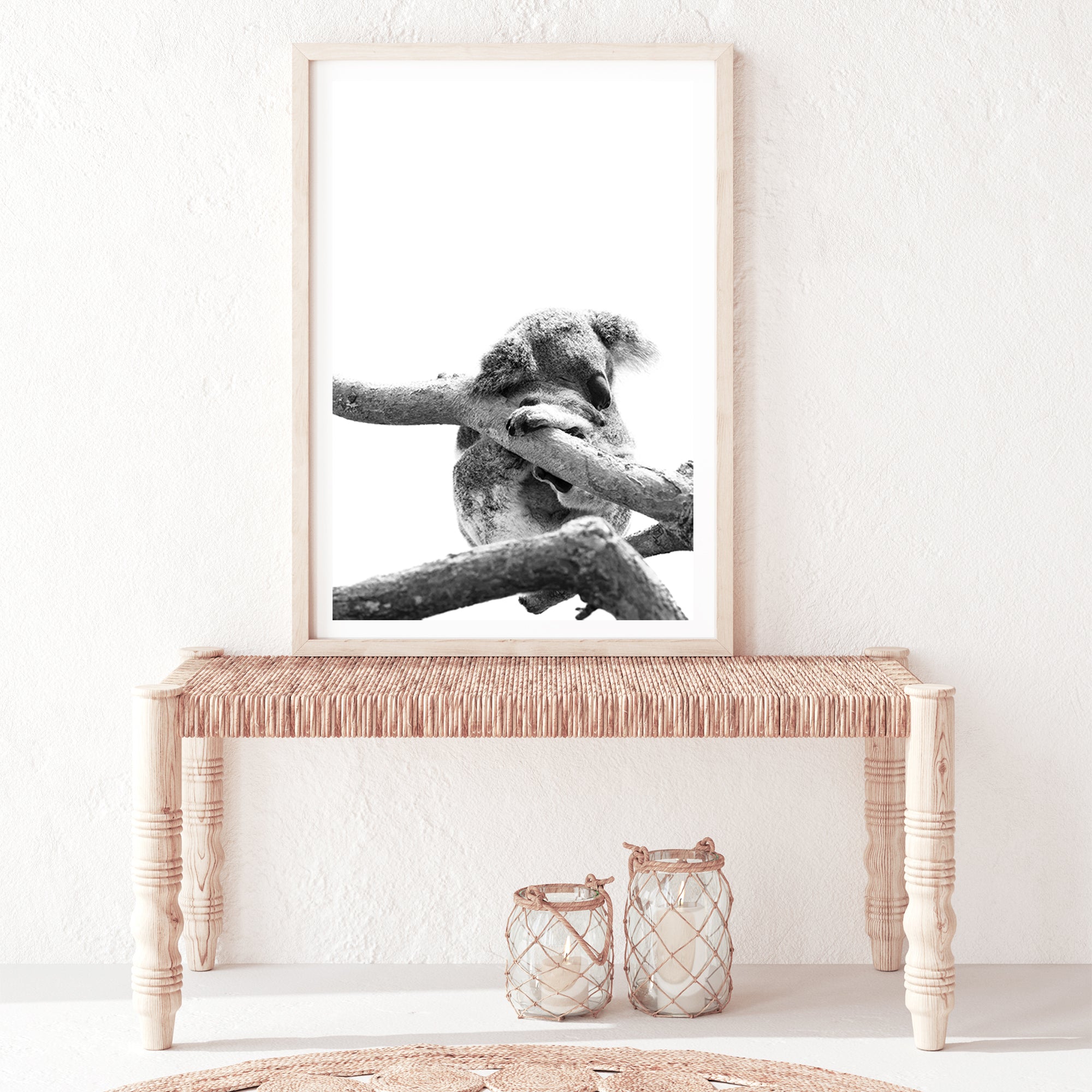A cute koala sleeping in a tree on a white background wall art print, Available with a frame or canvas print