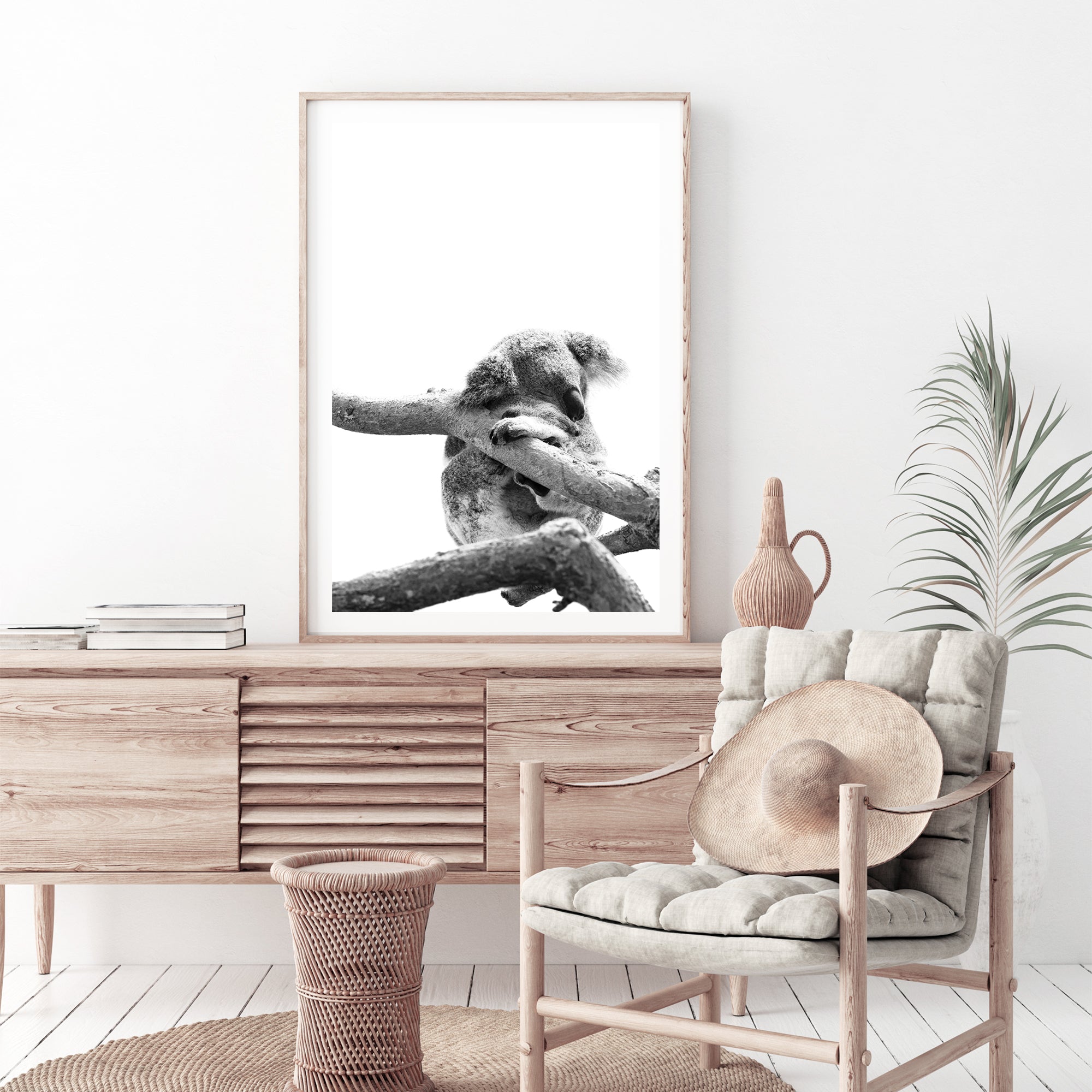 A photographic wall art print of a sleeping koala in a tree on a white background, Also available in canvas prints