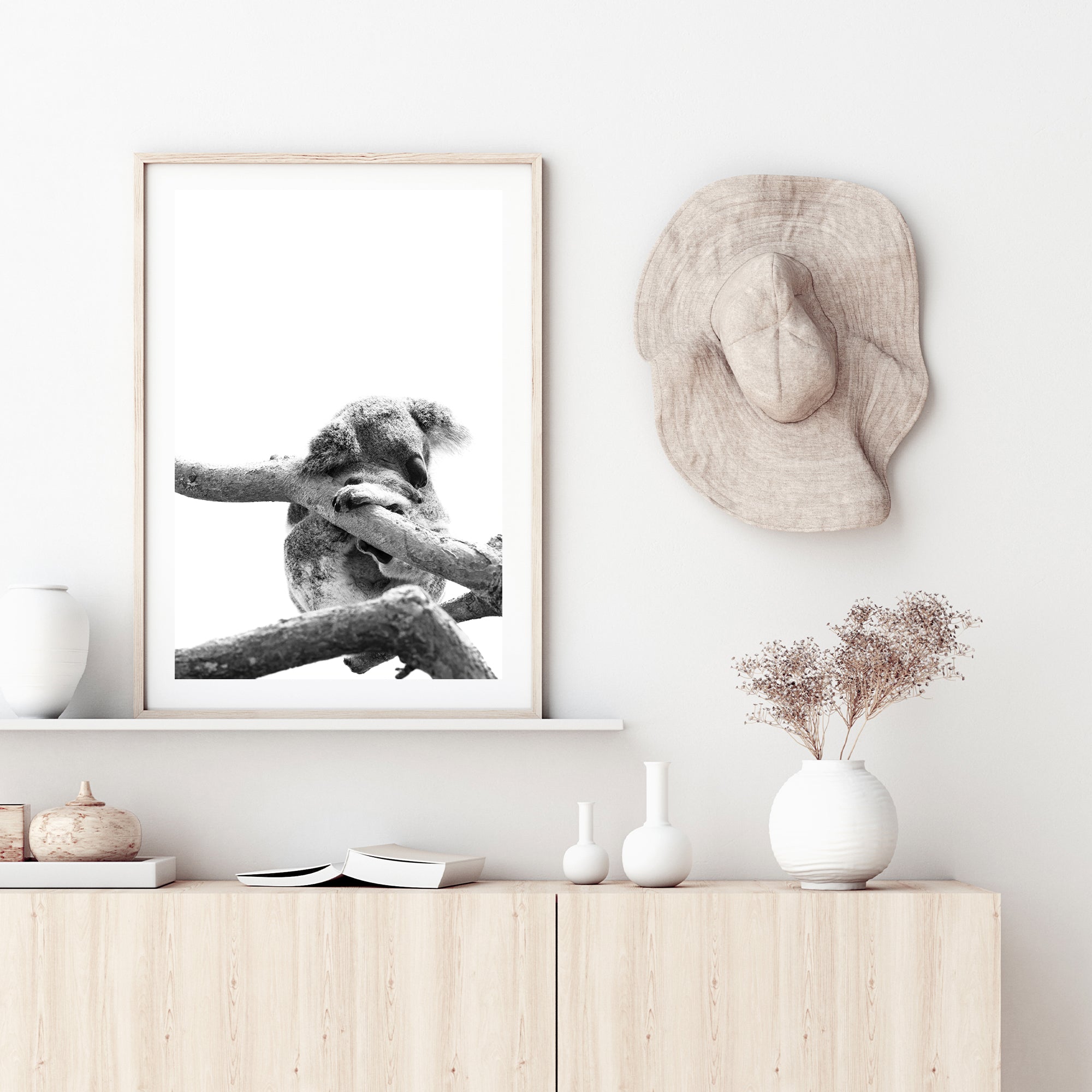 A photographic wall art print of a sleeping koala in a tree on a white background, Also available with a timber, black or white frame