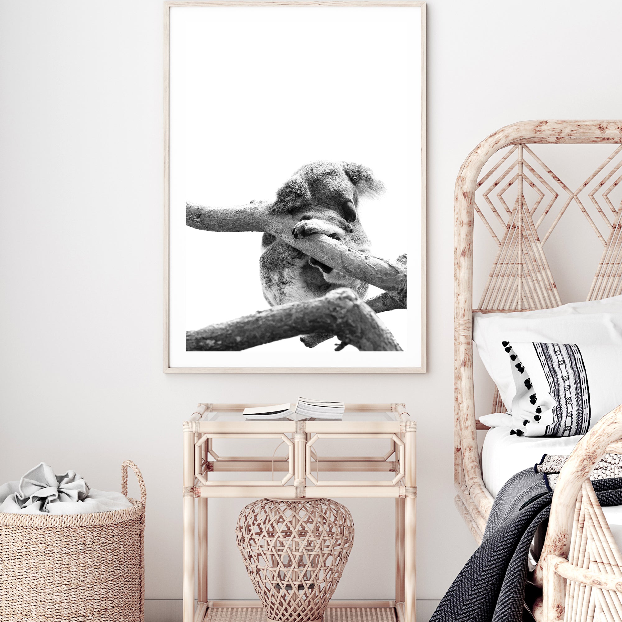 A photographic artwork of a koala asleep in a tree on a white background, Also available with a timber, black or white frame