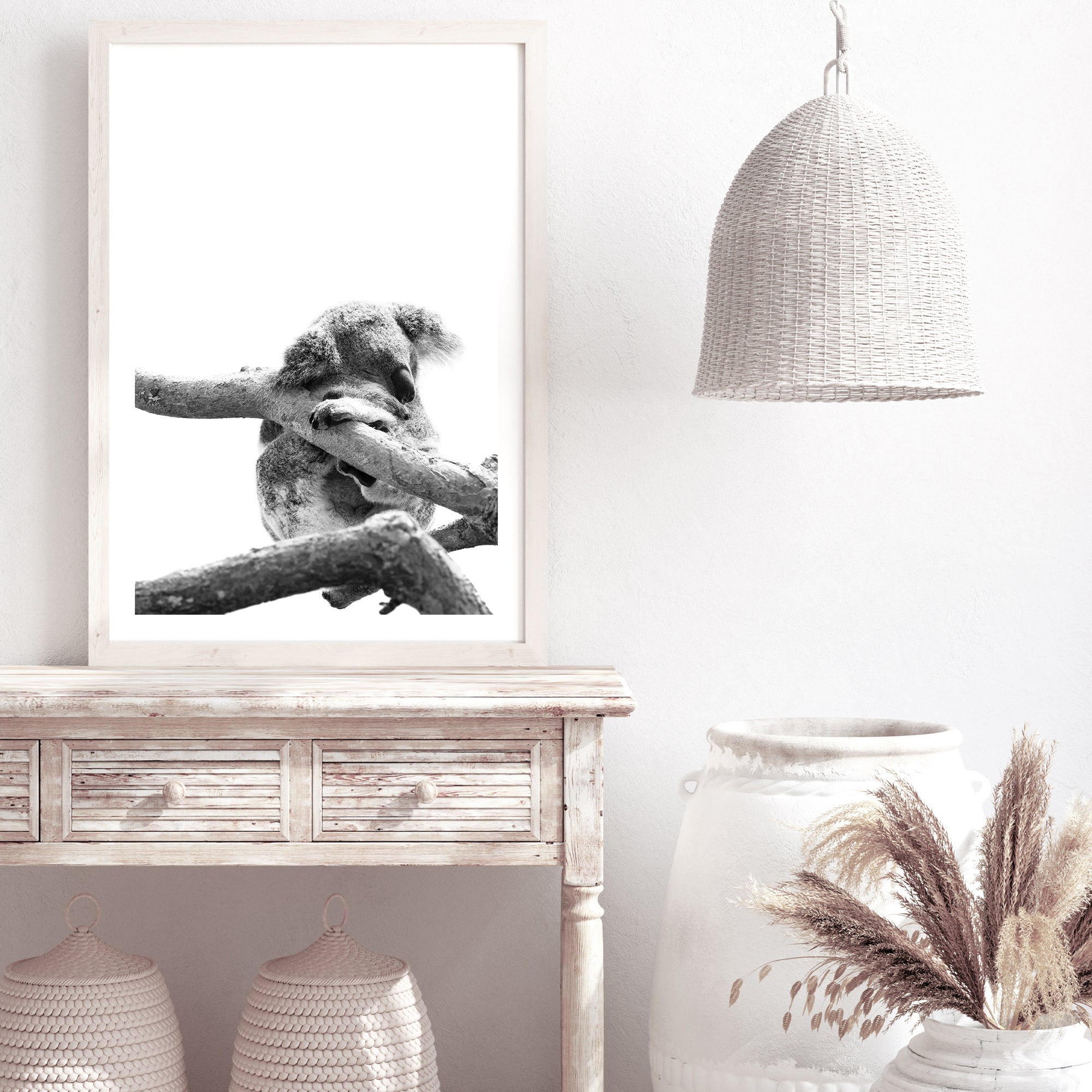 A photo artwork of a koala sleeping in a tree on a white background, Also available with a timber, black or white frame