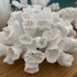 White Anemone Coral Home Decor decorative ornament 
