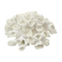 White Anemone Coral Decor for your Coastal Beach styled home