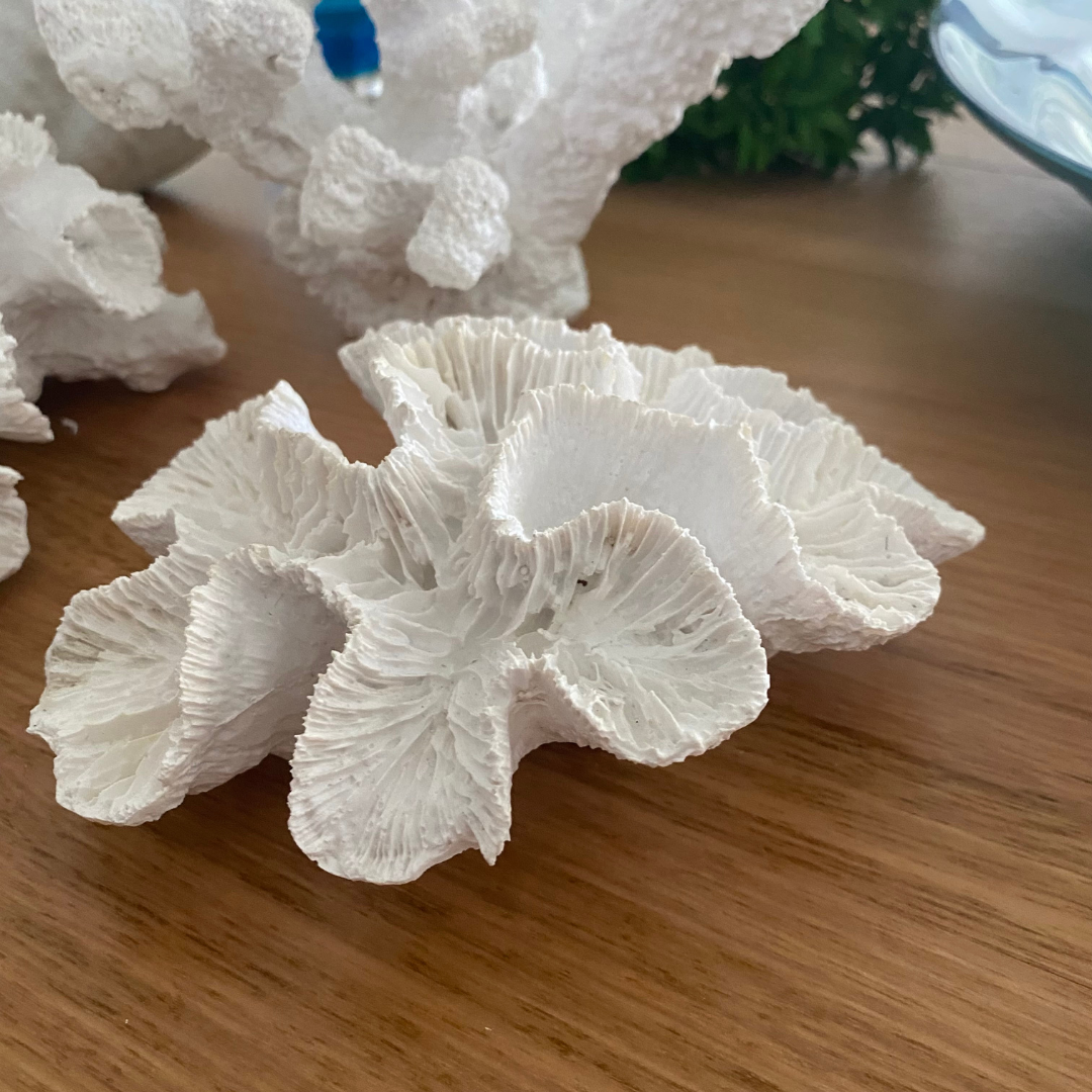 White Flower Coral Decor Made from polyresin - natural coral design for your coastal decorative home decor