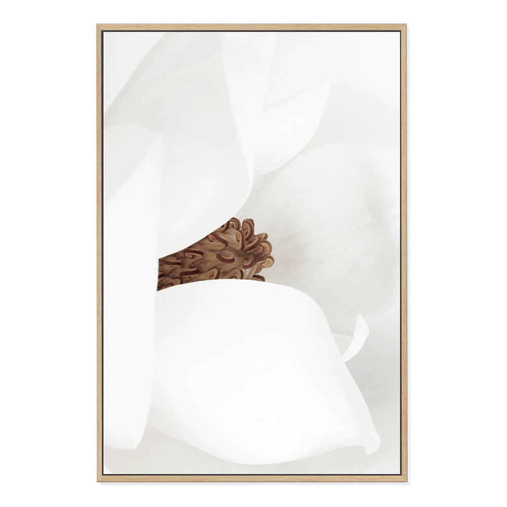 White Magnolia Flower Wall Art Photograph Print or Canvas Framed in timber or Unframed Beautiful Home Decor