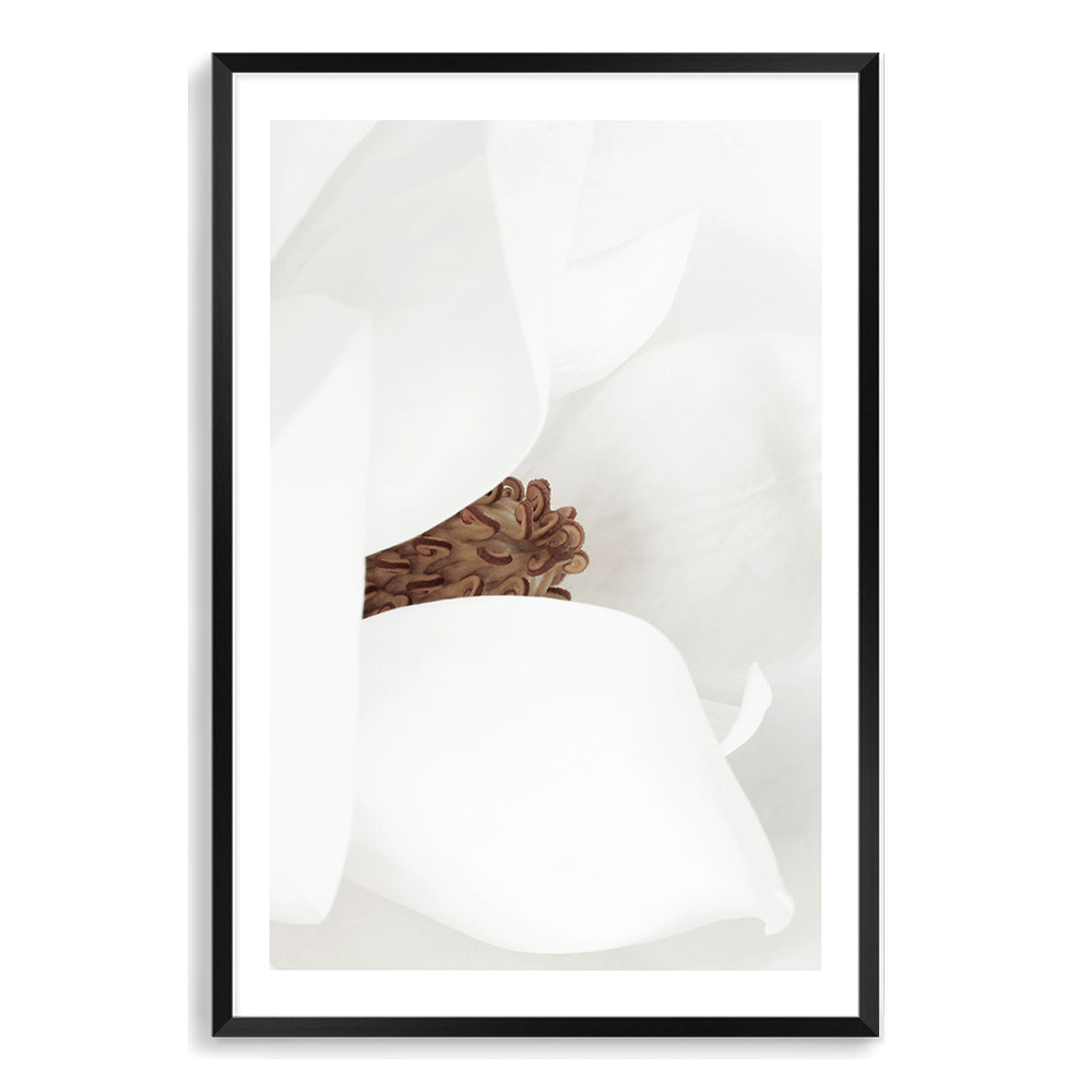 White Magnolia Flower Wall Art Photograph Print or Canvas black Framed or Unframed Beautiful Home Decor