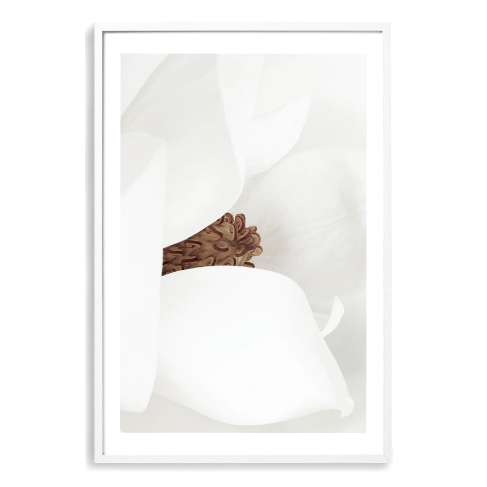 White Magnolia Flower Wall Art Photograph Print or Canvas white Framed or Unframed Beautiful Home Decor